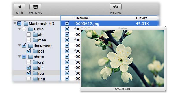 perform mov file rescue on Mac