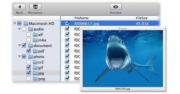 get your lost files back on Mac