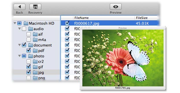 restore jpg format file on Mac