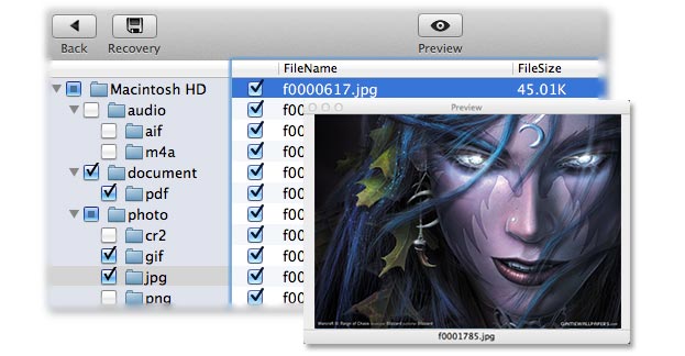 Preview and recover lost files.