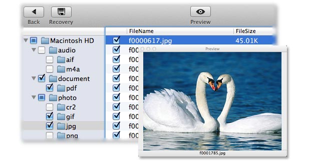 mac gif photo recovery operation