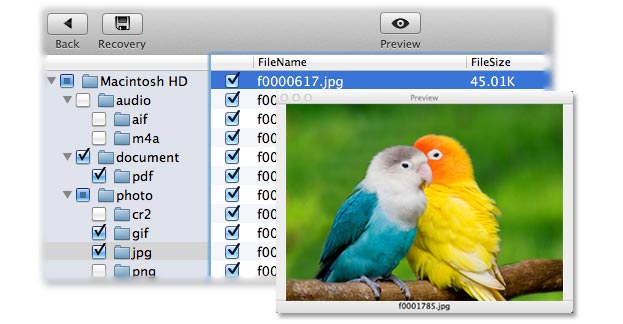 perform photo recovery operation for mac